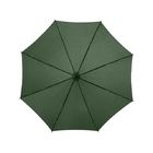 Зонт Kyle полуавтоматический 23, зеленый лесной