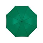 Зонт Barry 23 полуавтоматический, зеленый
