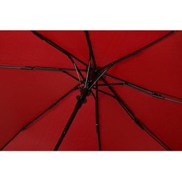 Зонт-полуавтомат складной Marvy с проявляющимся рисунком, красный