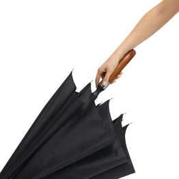 Автоматический зонт EARL