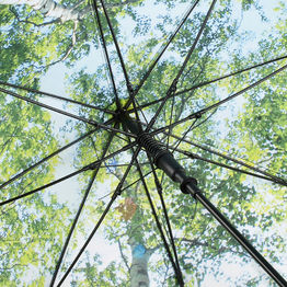 Зонт AC FARE® Impressions