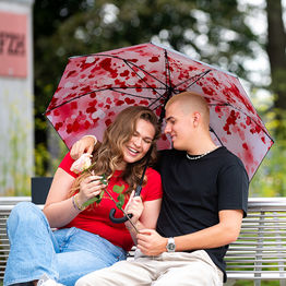 Зонт FARE® Impressions