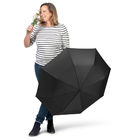 Мини-зонт ÖkoBrella