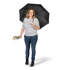 Мини-зонт ÖkoBrella