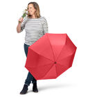 Мини-зонт ÖkoBrella