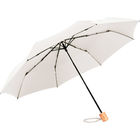 Мини-зонт ÖkoBrella