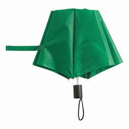 Ручной зонт REGULAR, зеленый