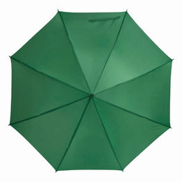 Автоматический зонт LIMBO, зеленый