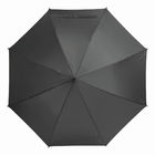 Автоматический зонт-трость LIPSI