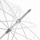 Прозрачный зонт-трость PANORAMIX, прозрачный