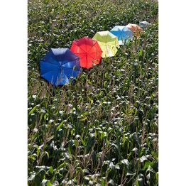 Автоматический зонт