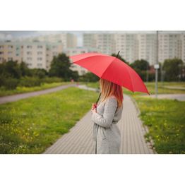 Автоматический зонт | Дуайт