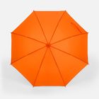 Зонт-трость Promo, оранжевый