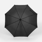 Зонт-трость Promo, черный