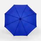 Зонт-трость Promo, синий