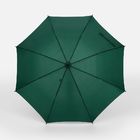 Зонт-трость Promo, темно-зеленый
