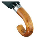 Складной зонт среднего размера RainLite Classic