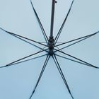 Зонт-трость Standard, голубой