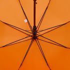 Зонт-трость Standard, оранжевый