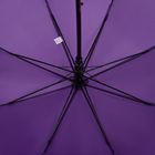 Зонт-трость Standard, фиолетовый
