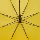 Зонт-трость Standard, желтый