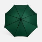 Зонт-трость Standard, зеленый