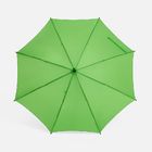Зонт-трость Standard, зеленое яблоко