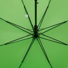 Зонт-трость Standard, зеленое яблоко