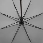 Зонт-трость Standard, серый