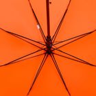 Зонт-трость Standard, оранжевый неон