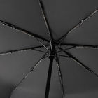 Автоматический противоштормовой зонт Congress, черный