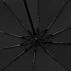 Зонт складной Regenfall, черный