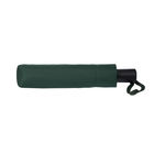 Зонт складной Passat, зеленый