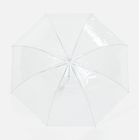 Прозрачный зонт-трость Clear