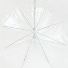 Прозрачный зонт-трость Clear