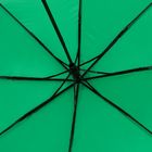 Зонт складной Basic, ver.2, зеленый