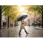 Зонт-трость Jolly Brolly, темно-синий