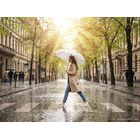 Зонт-трость Jolly Brolly, светло-серый